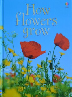 How Flowers Grow - Emma Helbrough