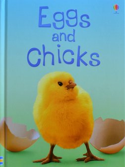 Eggs and Chicks - Fiona Patchett