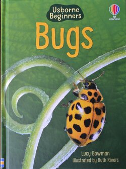 Bugs - Lucy Bowman