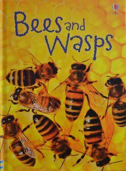 Bees and Wasps - James Maclaine