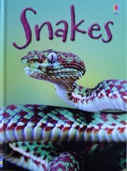Snakes - James Maclaine