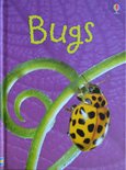Bugs - Lucy Bowman
