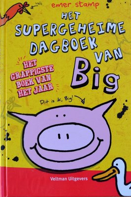 Het supergeheime dagboek van Big - Emer Stamp