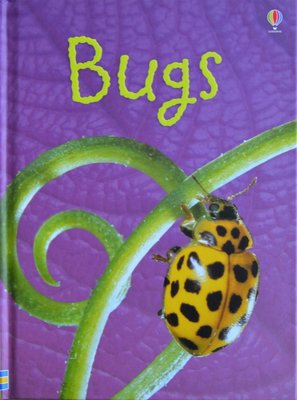 Bugs - Lucy Bowman