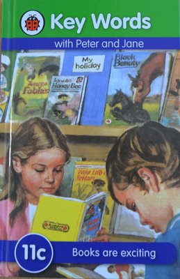 Books Are Exciting - Key Words (Level 11c)